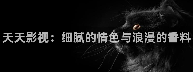 新居之约电视剧策驰影院：天天影视：细腻的情色与浪漫的香料