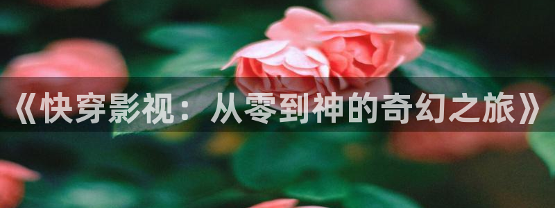 与凤行电视剧免费观看策驰影院